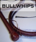 BullWhip Link